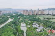 独占七夫西宁市举办六五环境日主题宣传活动