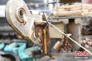 独占七夫小蚕虫变身“产业龙”，广西这座小城如何实现“破茧重生”？