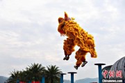 独占七夫（文化中国行）壮乡狮舞闯南洋：脚踏“云桩” 饮誉海内外